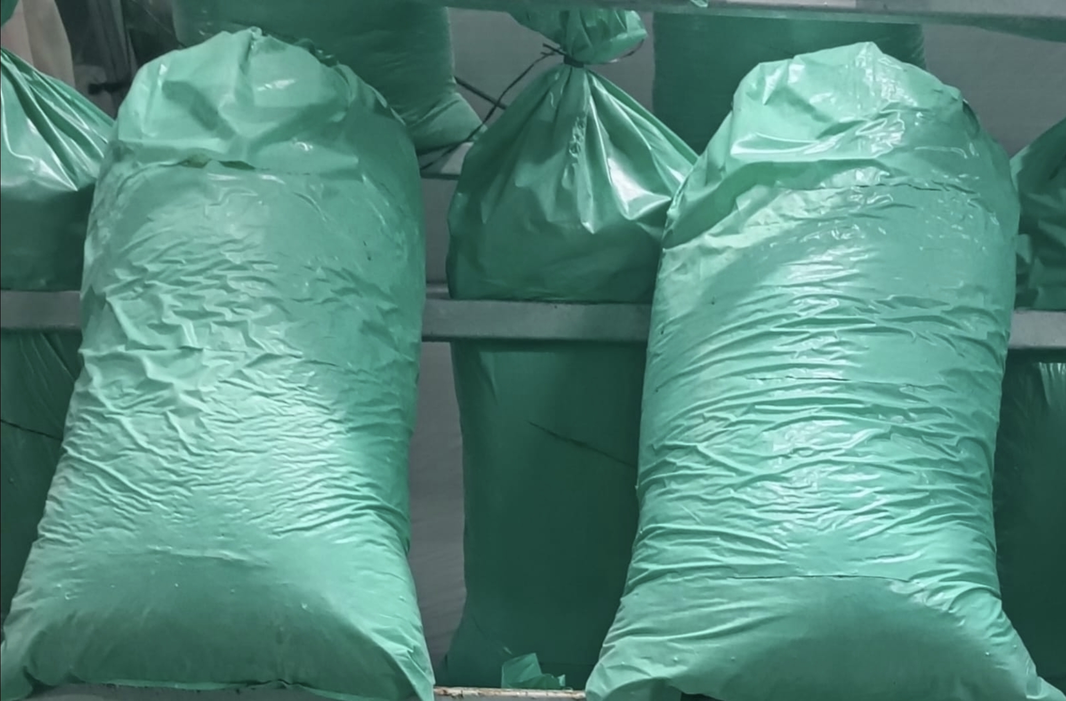 İstiridye Mantarı Kompostu