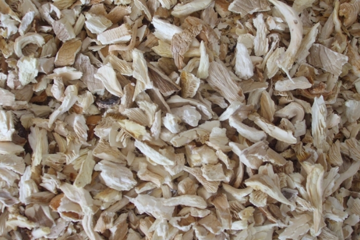 İstiridye Mantarı Kurusu (Granül)